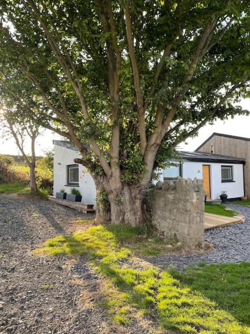 Tranquil, Secluded, Rural Cottage For Two Beaumaris Extérieur photo