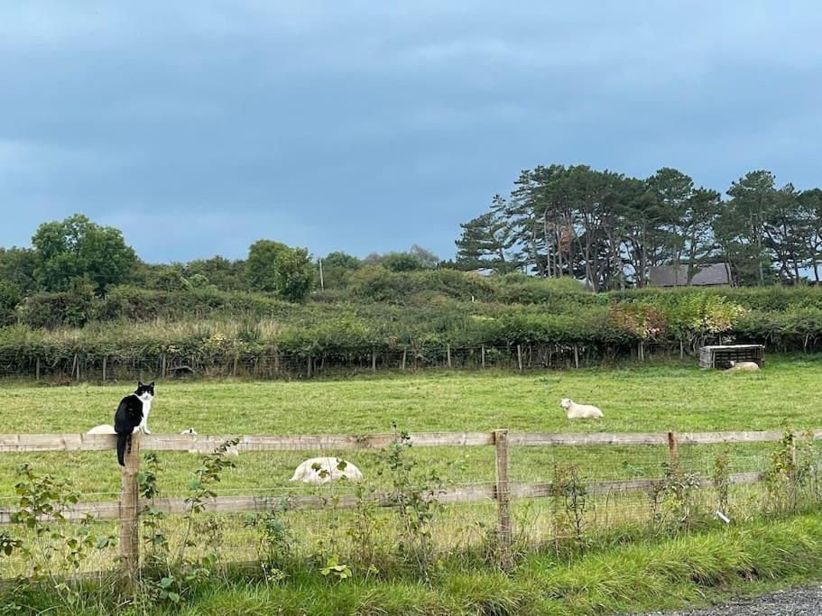 Tranquil, Secluded, Rural Cottage For Two Beaumaris Extérieur photo